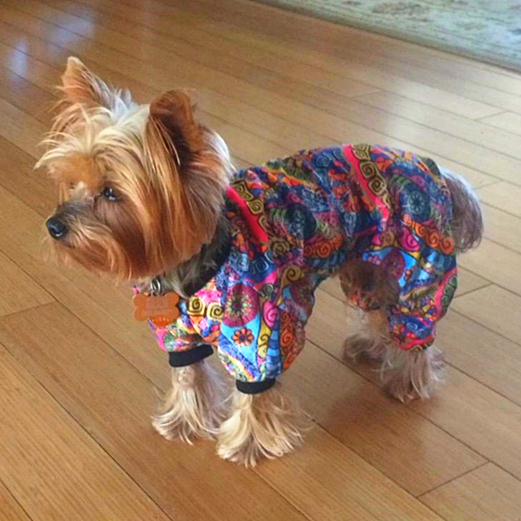Bohemian style dog pajamas