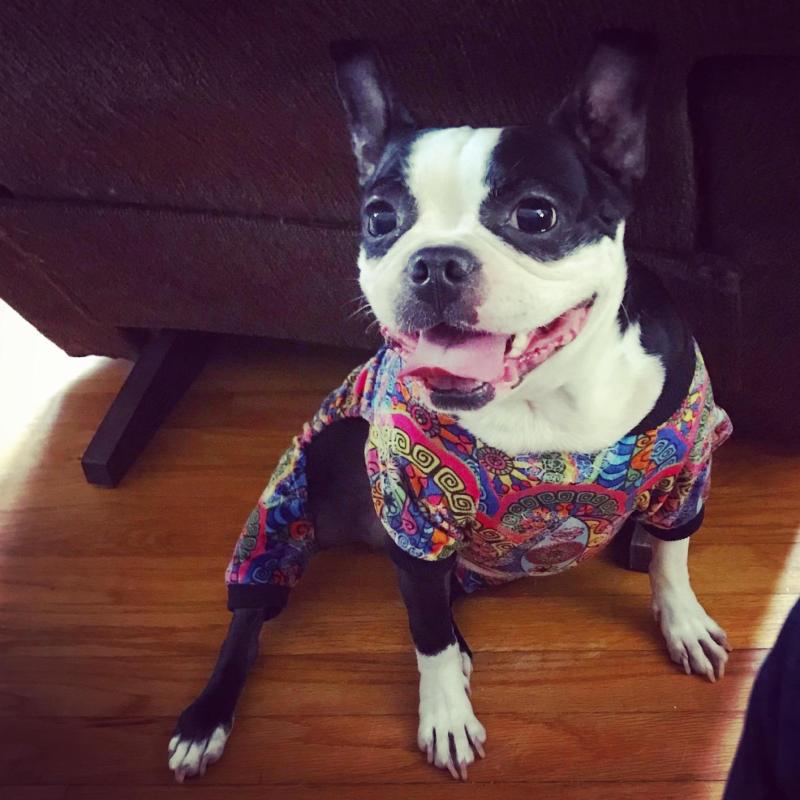 Bohemian style dog pajamas