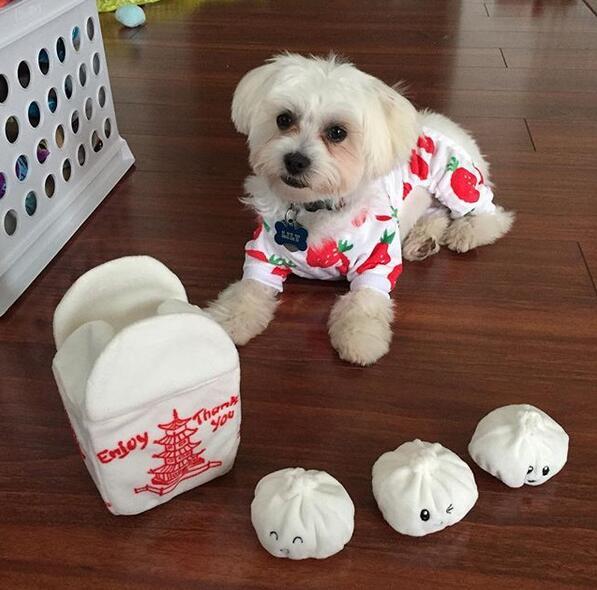 Sweety Strawberry Dog Pajamas