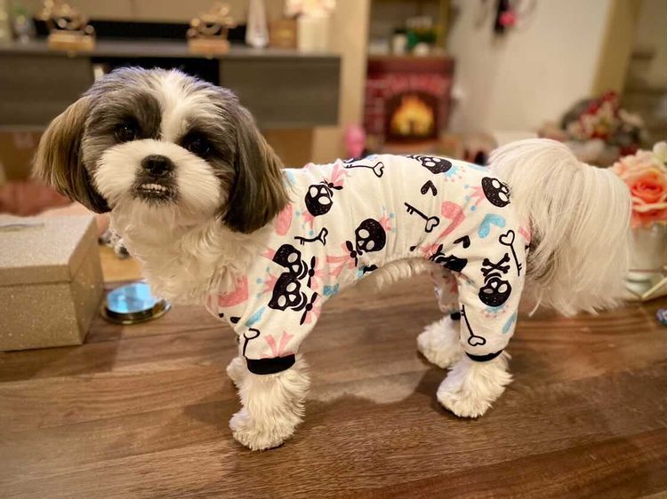 Skeleton dog pajamas -White