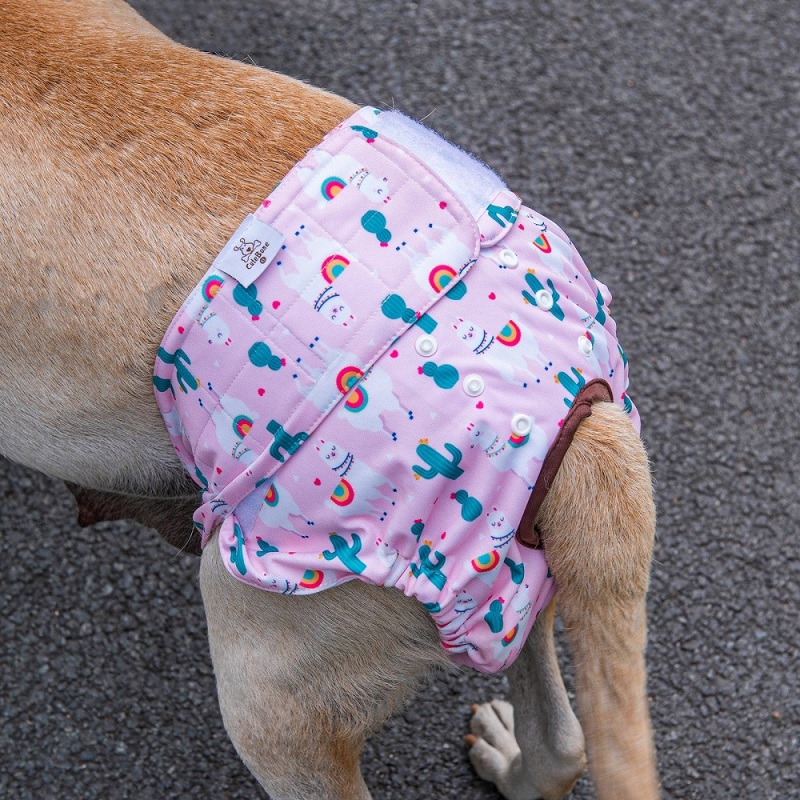 3 pack female dog diapers- Pig&amp;Sheep&amp;unicorn