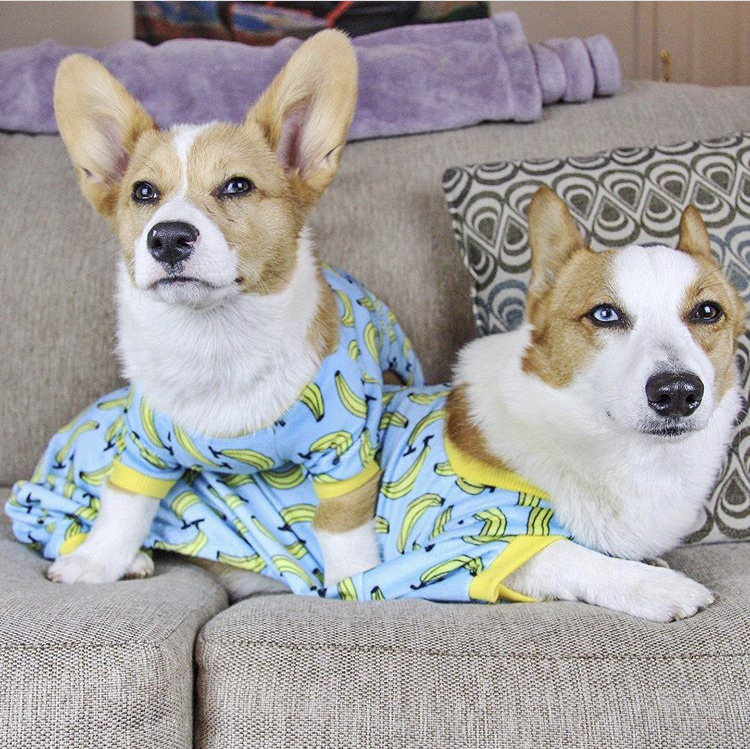 Banana Dog Pajamas