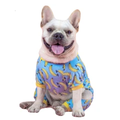 Banana Dog Pajamas