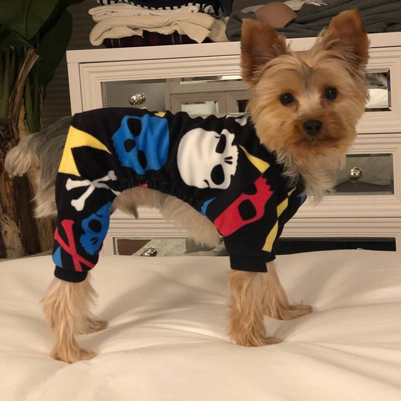 Skeleton dog pajamas -Colorful