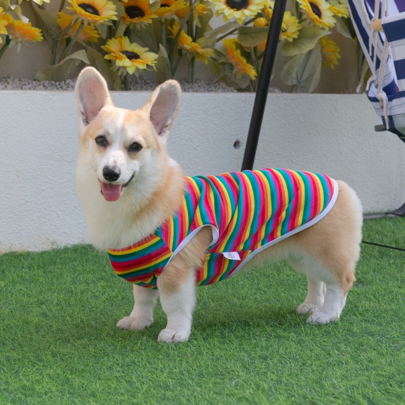 Rainbow Color Dog shirt