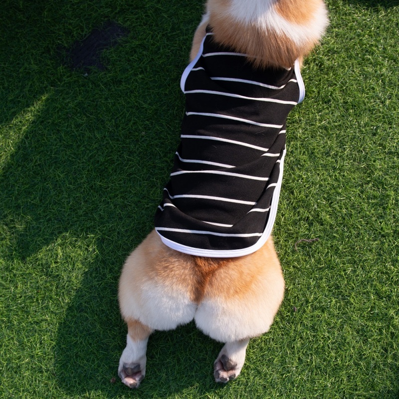 Black&amp;Grey Stripe Dog shirt