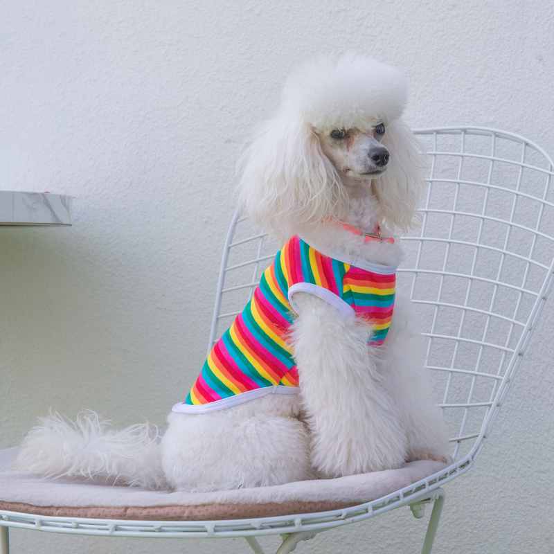 Rainbow Color Dog shirt