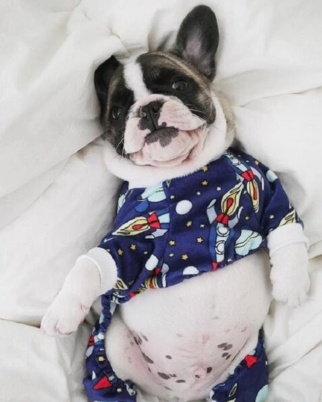 Space Rocket Dog Pajamas