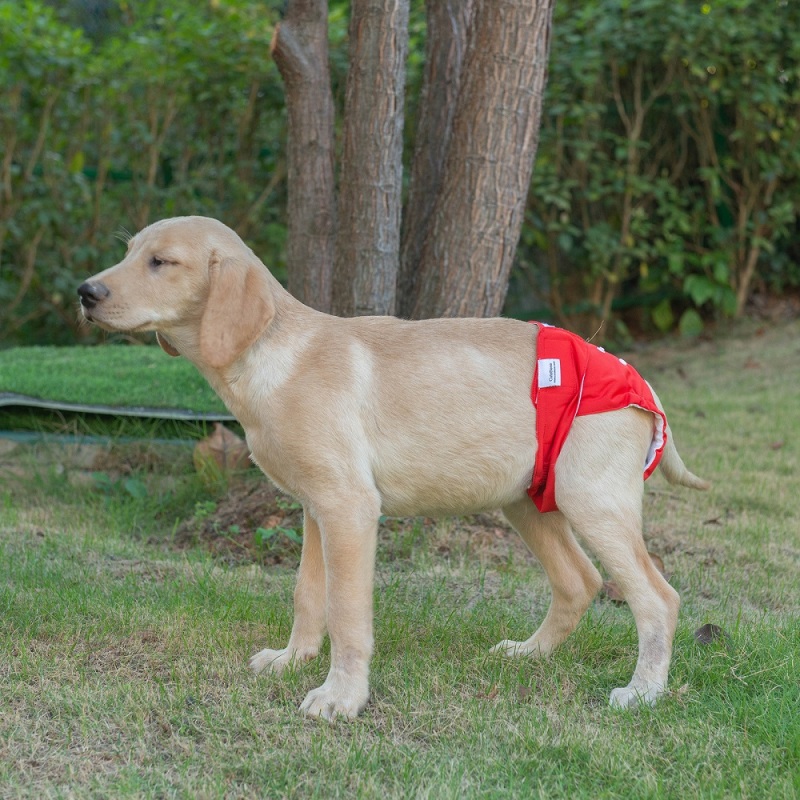 3 Pack Plain Color Female Dog Diapers - Red&amp;Purple&amp;Rose red