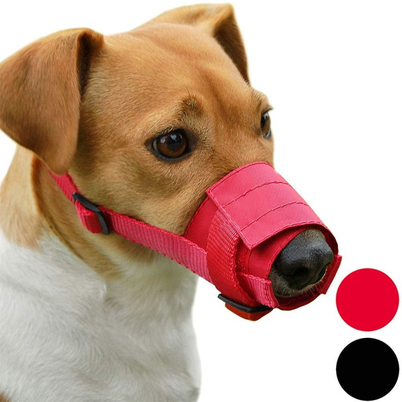 CuteBone Adjustable Dog Muzzle