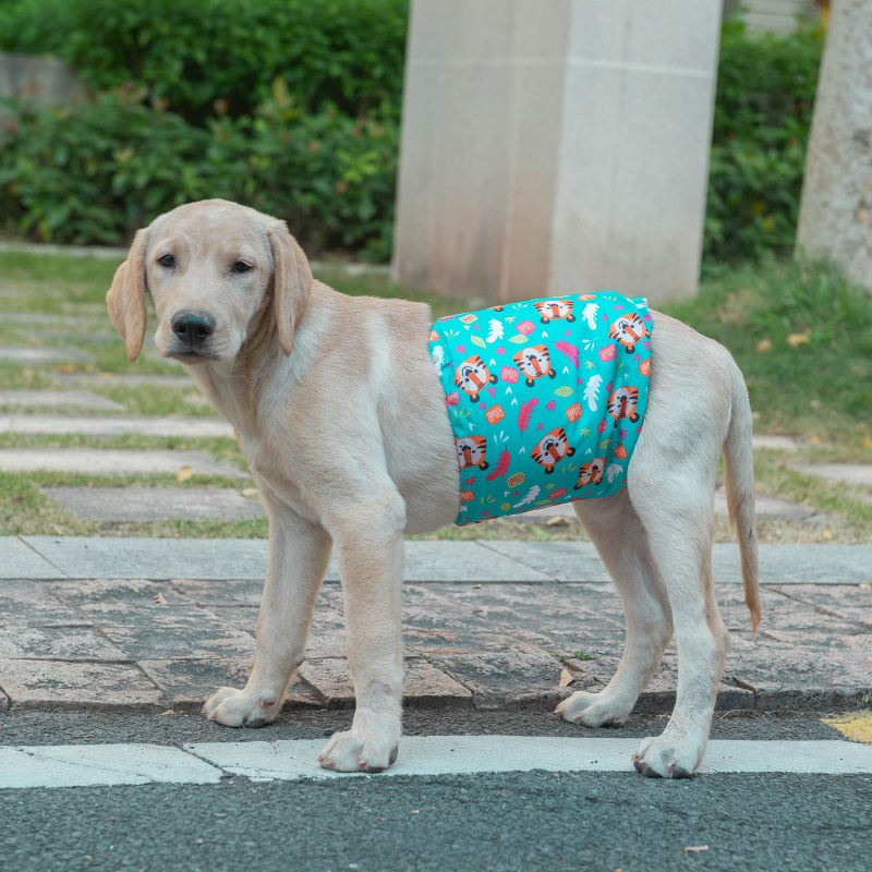 Male Dog Diapers Belly Bands 3 Pack for Male Dogs Wraps Washable Doggie Pants