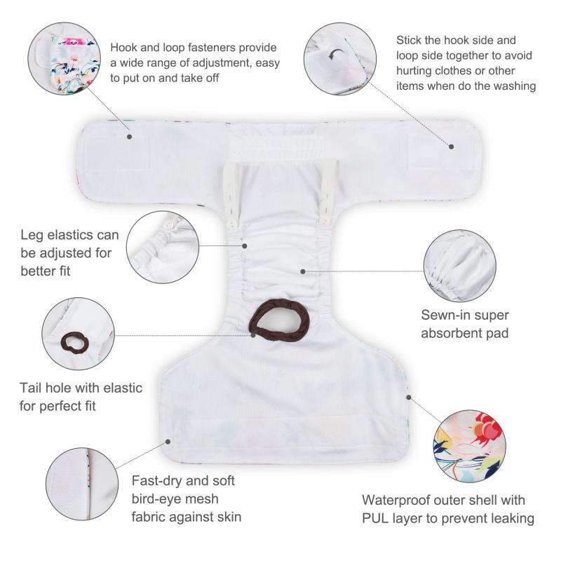 CuteBone Doggie Diapers for Female Dogs D32