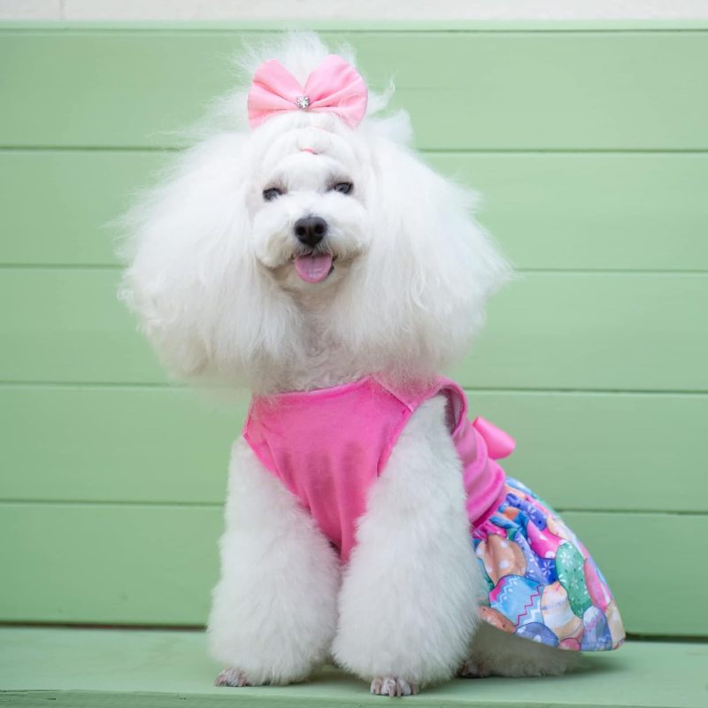 CuteBone Houndstooth Dog Dress Velvet Turtleneck Puppy Skirt with Bow Hair Rope Birthday Gift CVA18-D