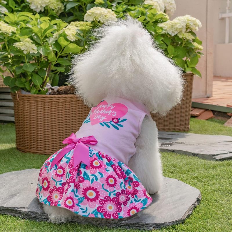 CuteBone Houndstooth Dog Dress Velvet Turtleneck Puppy Skirt with Bow Hair Rope Birthday Gift CVA22-D