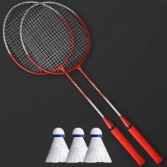 Professional Badminton Rackets Shuttlecocks and Carrying Bag Set Double Badminton Racquet Set Indoor Outdoor Speed Sports