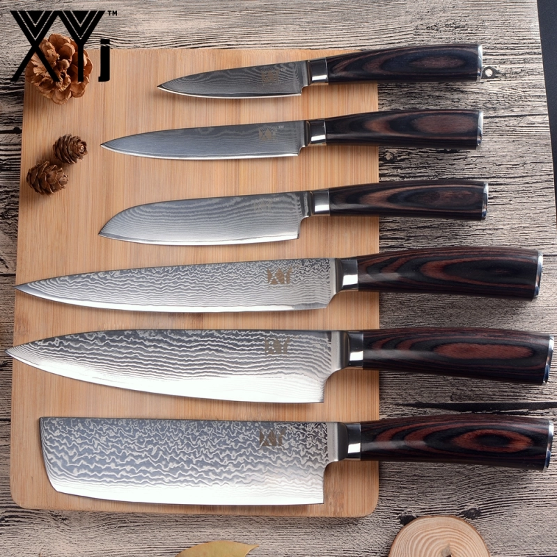 Professional Damascus Kitchen Knife Set by XYj with 73 Layers Damascus Steel and VG10 Core, Ergonomic Pakka Wood Handle