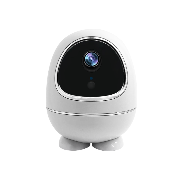 TM-W5 Low Power Battery PT Dome TUYA Wifi Camera