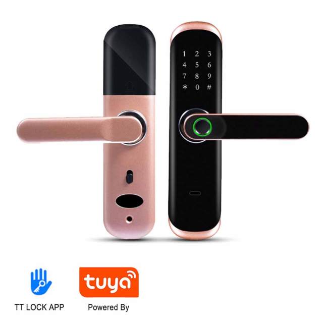 TM-B1 Smart TUYA Fingerprint Door Lock