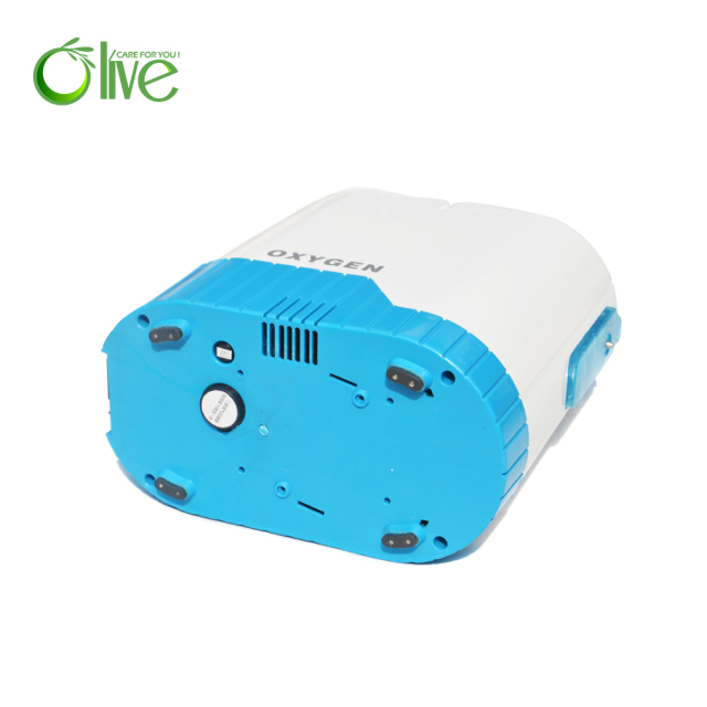 Low Noise Rechargeable Car Use Small Portable Oxygen Concentrator Price With Anion Function