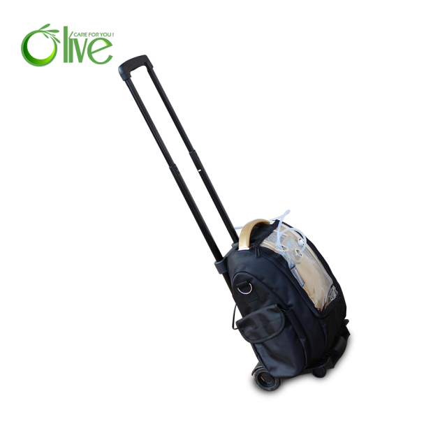 Dual Flow Oxygen Concentrator Lithium Battery Portable Oxygen Concentrator For Travel