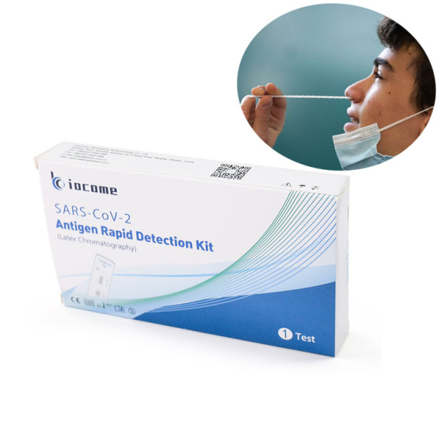 Wholesale 15 Minutes 1 Test Covid Self Test Kit SARS-CoV-2 Rapid Covid-19 Test Kit At Home Antigen Self Test Detection Kit