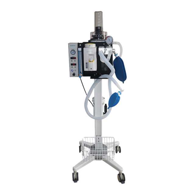 Vet Gas Anesthesia Machine With Ventilator Animal Anesthesia Medical Equipment