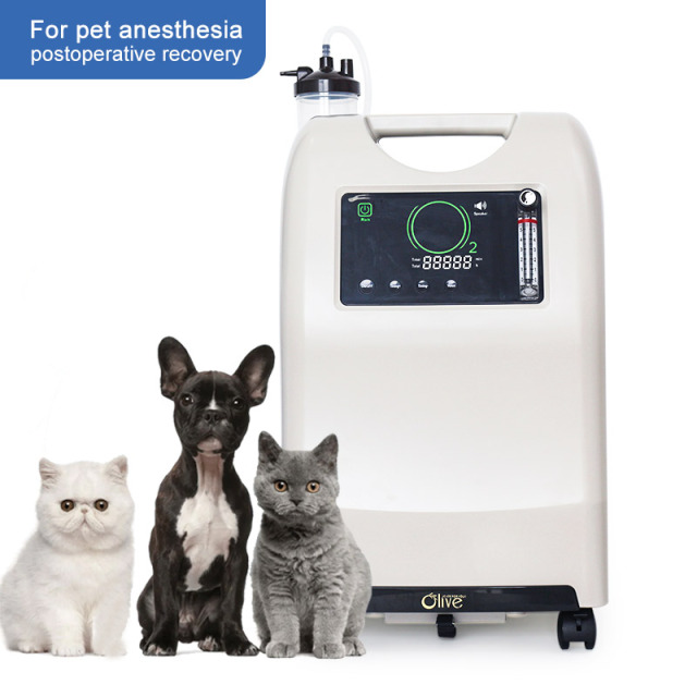 Veterinarian Uses 10L Oxygen Concentrator Compatible With Anesthesia Machines