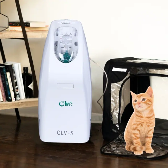 95% Purity Veterinary Pet Dog Cat Horse Oxygen Concentrator for Clinic and Farm