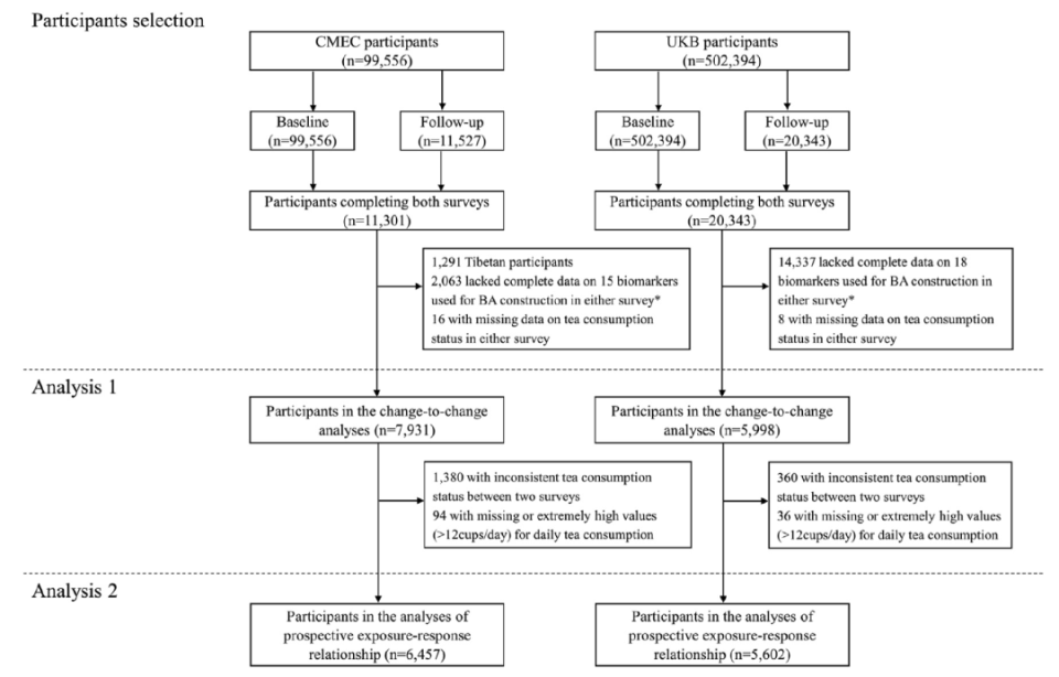 Flow chart of tea drinking research