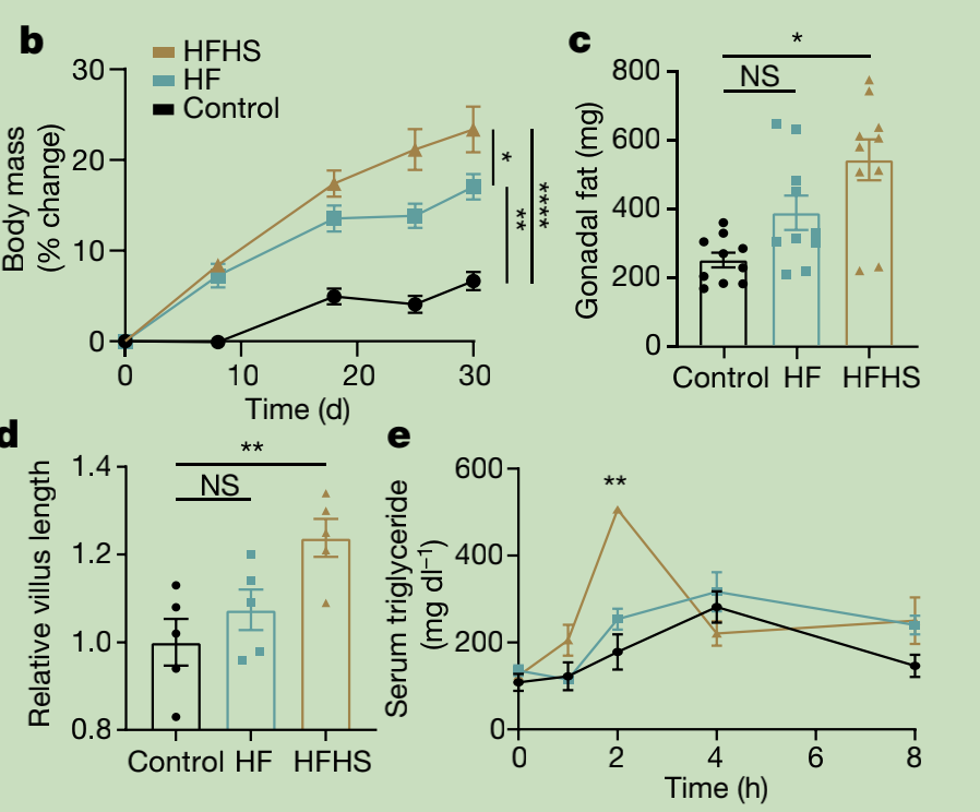 Mice fed fructose had higher body weight and longer villi
