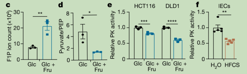 Fructose metabolism enhances the viability of hypoxic cells and reduces the activity of pyruvate kinase