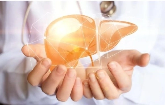 In terms of liver protection, honey also plays a unique value
