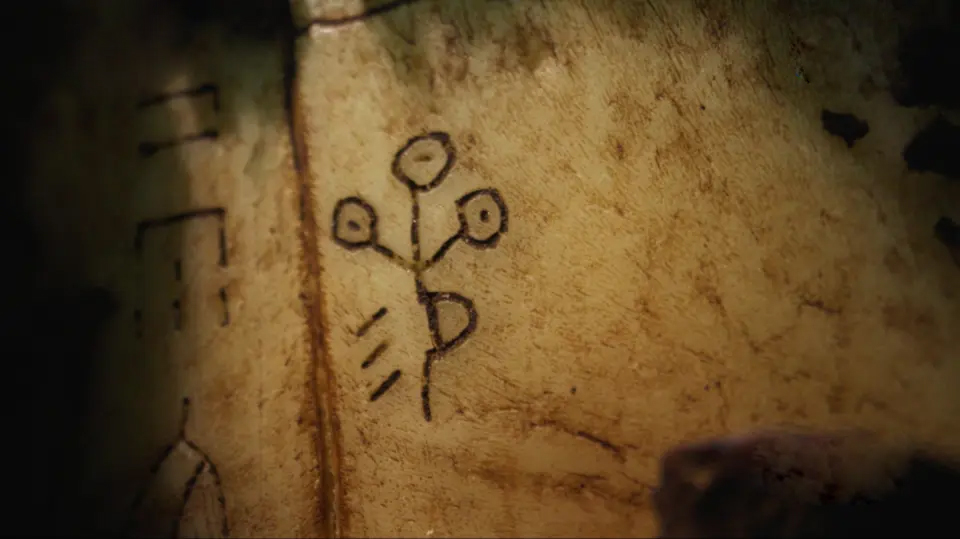 Ginseng's oracle bone script