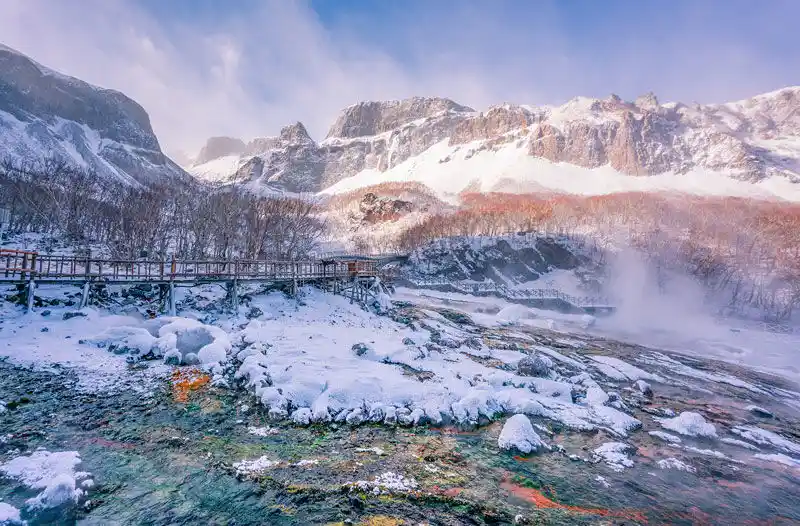 the annual output of wild ginseng in the Changbai Mountain authentic production area declined from 100,000 jin in the late Ming and early Qing dynasties to less than 200 kilograms per year