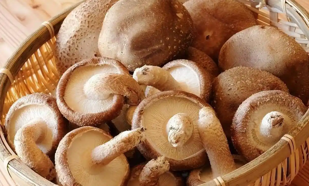 Shiitake Mushrooms