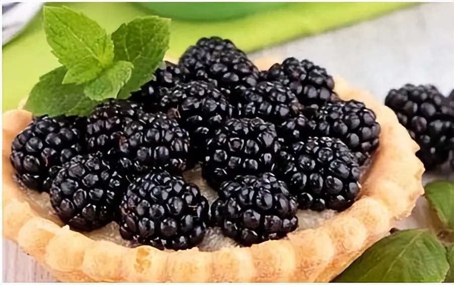 Mulberry