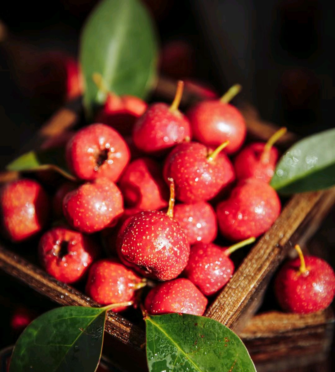 Hawthorn can be used to make tea