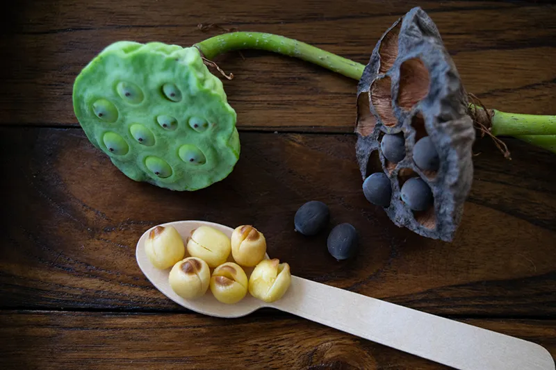 Health-preserving effects of lotus seeds
