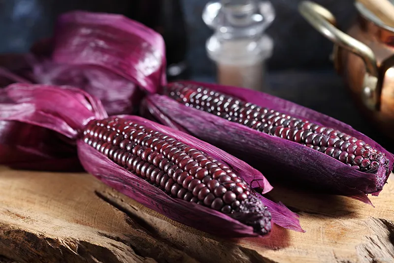 Purple corn