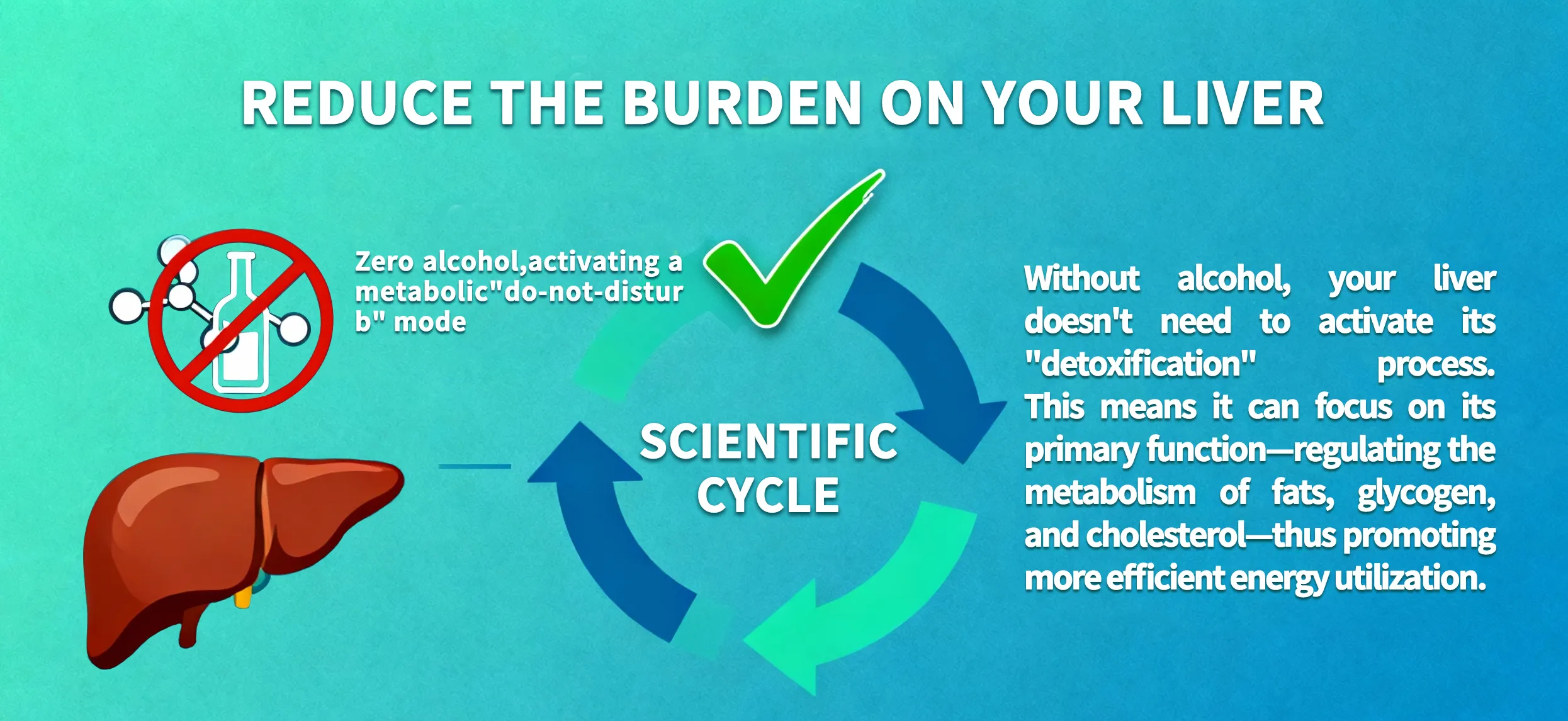 ZhenXi Non-Alcoholic Beer Reduce the burden on your liver