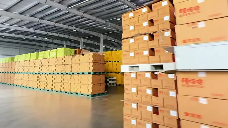 canned electrolyte energy drink bulk export shipment