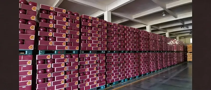 canned non alcoholic fruit beer bulk export shipment