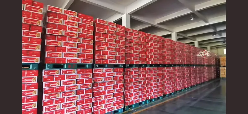 canned black tea & hawthorn energy drink bulk export shipment