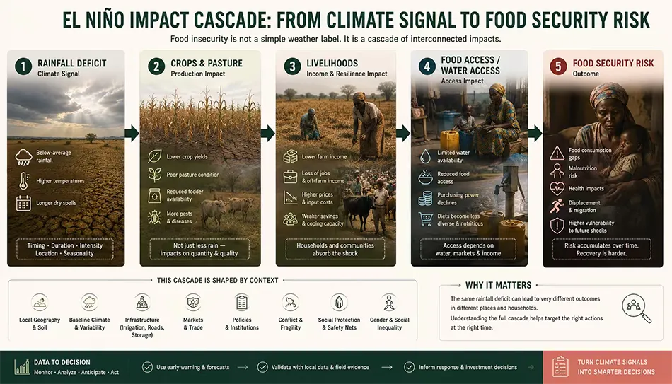 Drought risk cascade from rainfall deficit to food security and livelihoods