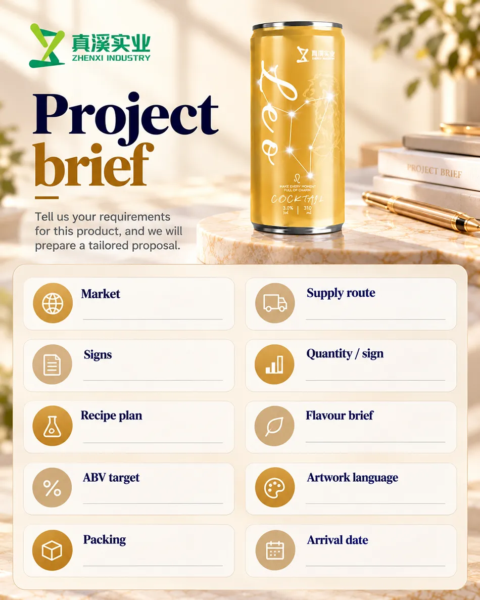 Leo project brief with market, supply route, signs, quantity, recipe, flavour, alcohol target, artwork, packing and arrival-date fields