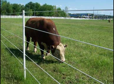 Solid Maintenance Free Fiberglass Rod Line Fence Posts