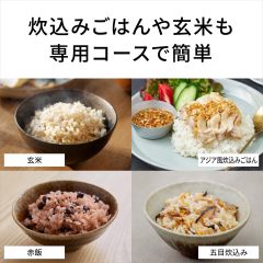 Panasonic 國際牌 Bistro SR-X918E 可變壓力IH電子鍋 10人份(1.8L)|匠技AI|W舞動炊飯|旗艦款