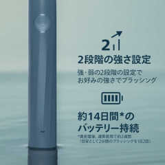 Philips 飛利浦 Sonicare 2100 音波電動牙刷 HX4021/04 海洋藍