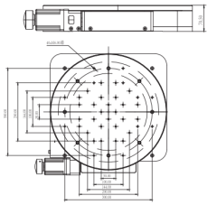 LDTDH-400WS-H Motorized Rotary Stages