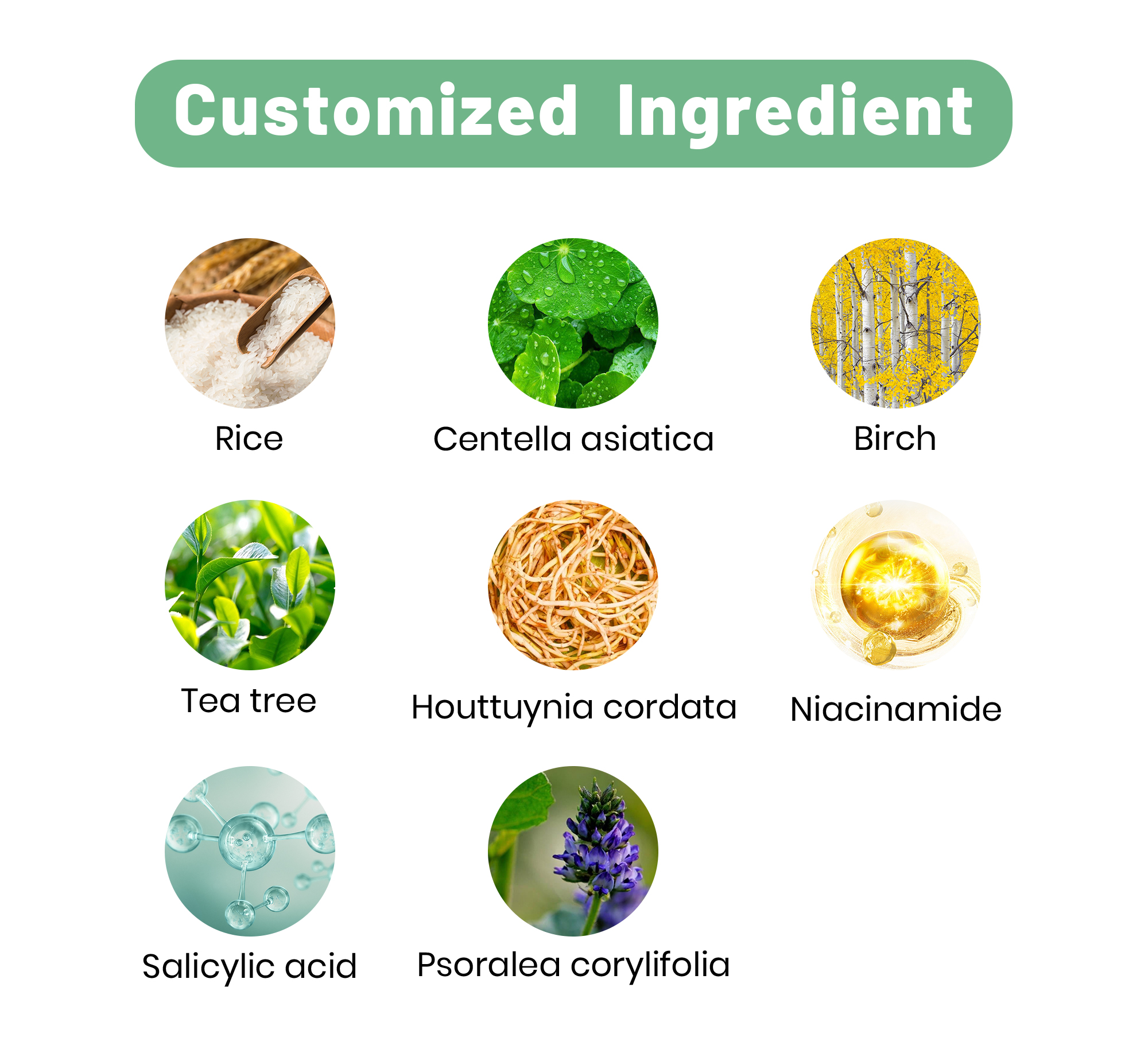 At SHIRUONI, we specialize in OEM & private label cleanser products, offering a complete customization service for various cleanser types, including: Facial cleansers (cream-based, gel, foam) Cleansing oils Cleansing foams & gels Enzyme cleansing powders Makeup remover pads & balms We support full customization of skincare efficacy (hydrating, brightening, anti-acne, exfoliating, soothing, etc.), texture and format, key ingredients (Amino Acids, Hyaluronic Acid, BHA, botanical extracts), and fragrance options. You can also tailor packaging types (pump bottles, tubes, sachets, jars) and add your custom logo and design to suit your brand image. We support small to large batch orders, ensuring flexibility and high quality for your market needs.